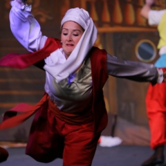 SIK-Sinbad-2016-0411