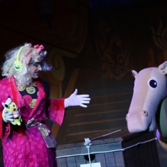 SIK-Sinbad-2016-0511