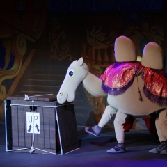 SIK-Sinbad-2016-0531