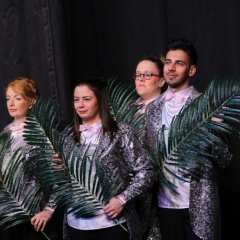 SIK-Sinbad-2016-0611