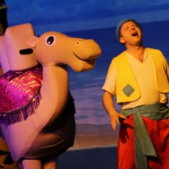 SIK-Sinbad-2016-0756