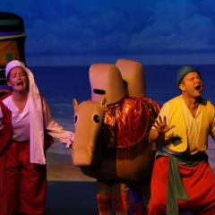 SIK-Sinbad-2016-0761