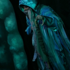 SIK-Sinbad-2016-0861