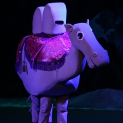 SIK-Sinbad-2016-0971