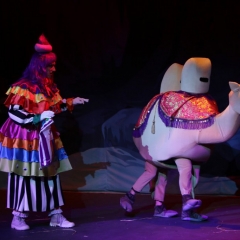 SIK-Sinbad-2016-0976