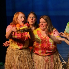 SIK-Sinbad-2016-1021