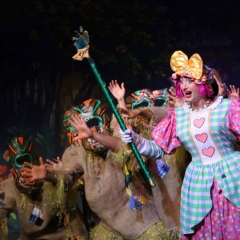 SIK-Sinbad-2016-1836