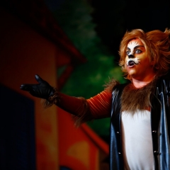 Puss-in-Boots-2017-1080