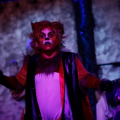 Puss-in-Boots-2017-1270