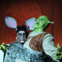 SHREK080