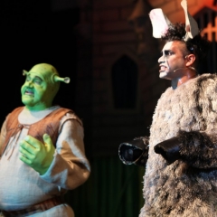 SHREK132