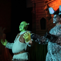 SHREK133