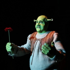 SHREK171
